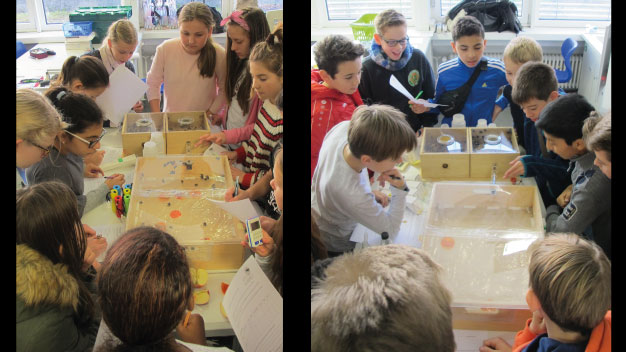 Schülerinnen und Schüler bei Versuchen zum Lernverhalten von Hummeln - Foto/©: Sieg/AG Didaktik der Biologie