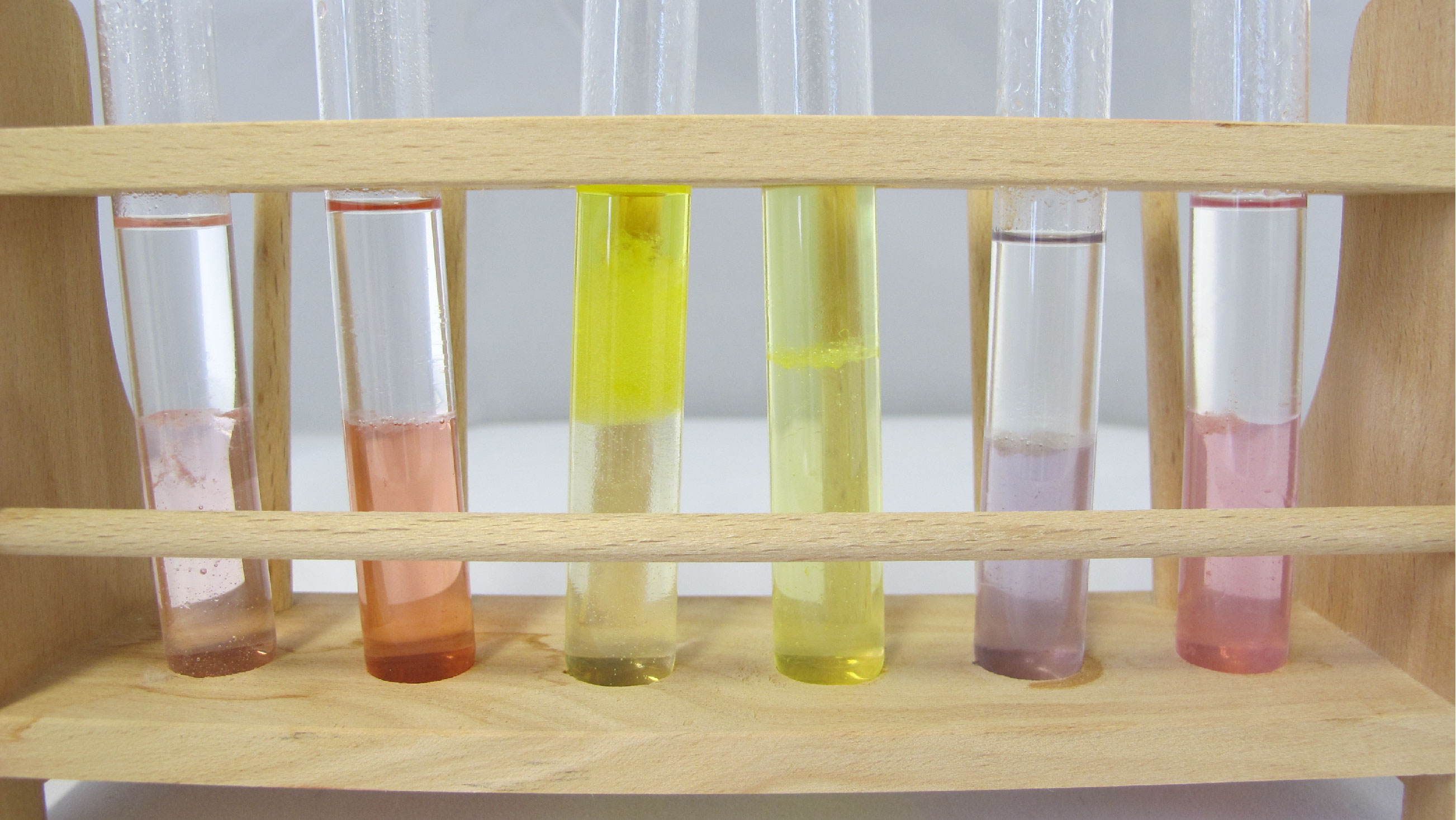 Die Farben der didaktischen BLUMEnmischung. Ergebnisse der Extraktion und Auftrennung von Blütenfarbstoffen.