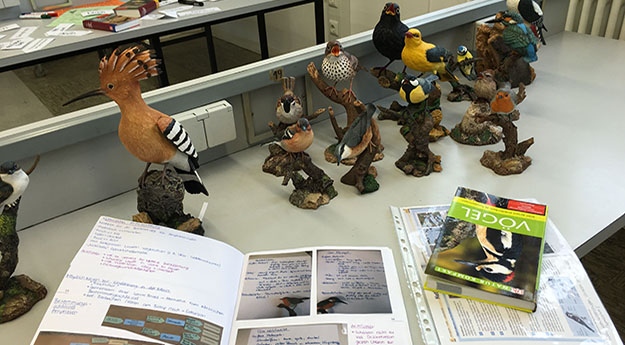 Das Praktikum im Bachelor-Modul vermittelt fachgemäße Arbeitsweisen des Biologie- und Nawi-Unterrichts. - Foto/©: AG Didaktik der Biologie, JGU