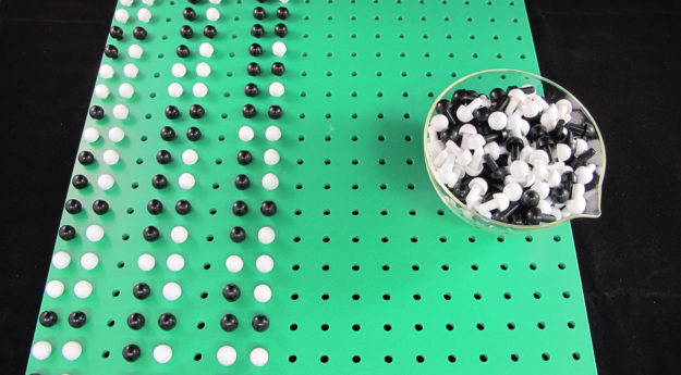 Evolution mit spielerischen Simulationen unterrichten - Gegenstand das Praktikums im M.Ed.-Studiengang - Foto/©: AG Didaktik der Biologie / JGU